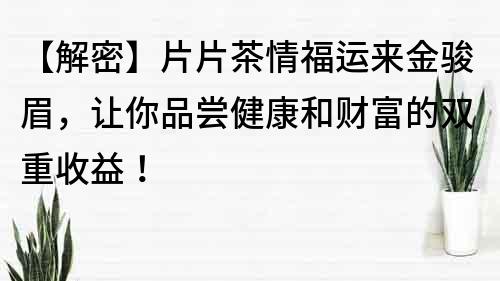 【解密】片片茶情福運來金駿眉，讓你品嘗健康和財富的雙重收益！
