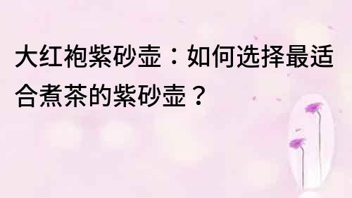 大紅袍紫砂壺：如何選擇最適合煮茶的紫砂壺？