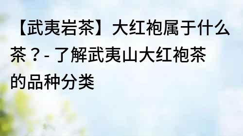 【武夷巖茶】大紅袍屬于什么茶？- 了解武夷山大紅袍茶的品種分類