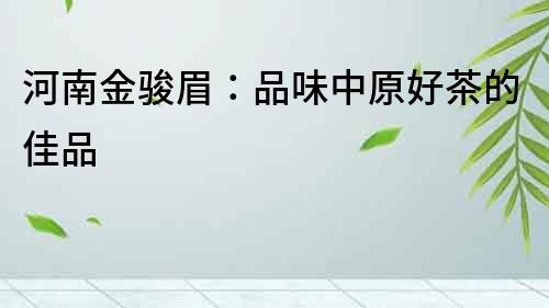 河南金駿眉：品味中原好茶的佳品