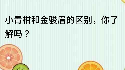 小青柑和金駿眉的區別，你了解嗎？