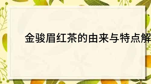 金駿眉紅茶的由來與特點解析