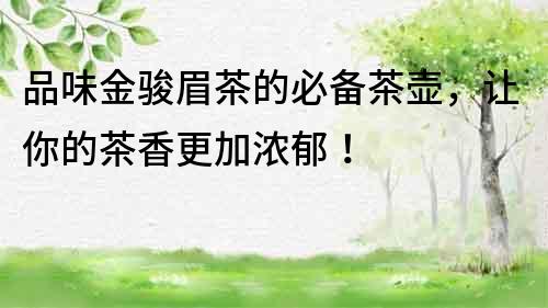 品味金駿眉茶的必備茶壺，讓你的茶香更加濃郁！