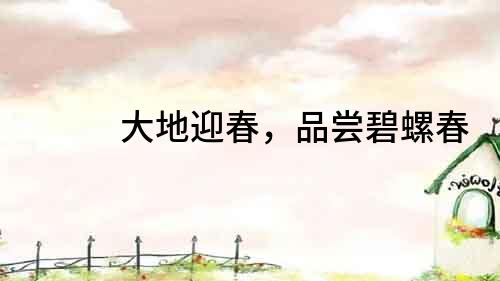 大地迎春，品嘗碧螺春