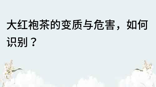 大紅袍茶的變質與危害，如何識別？
