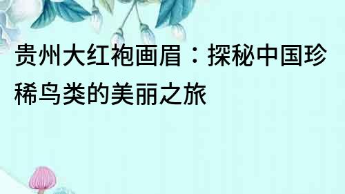 貴州大紅袍畫眉：探秘中國珍稀鳥類的美麗之旅