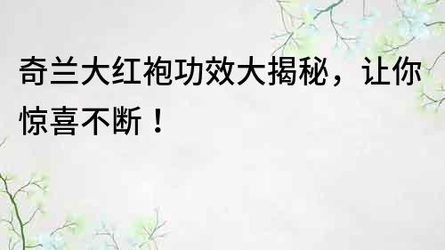 奇蘭大紅袍功效大揭秘，讓你驚喜不斷！