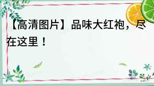 【高清圖片】品味大紅袍，盡在這里！