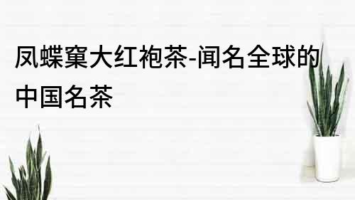鳳蝶窠大紅袍茶-聞名全球的中國名茶