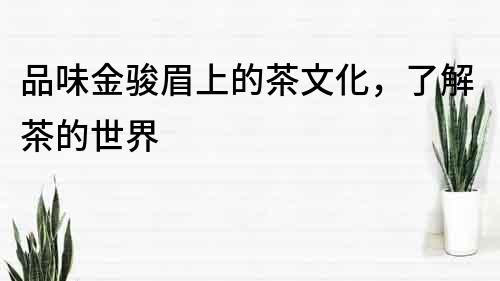 品味金駿眉上的茶文化，了解茶的世界