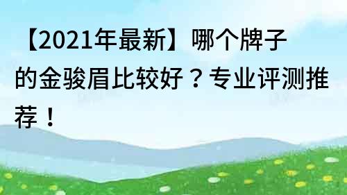 【2021年最新】哪個牌子的金駿眉比較好？專業評測推薦！