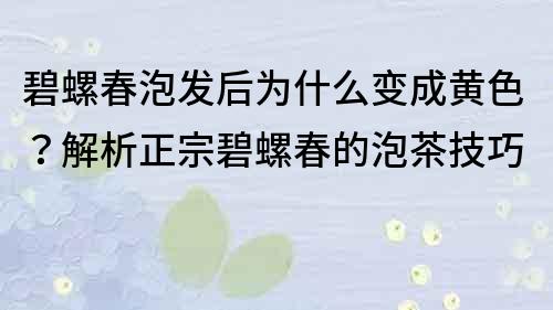 碧螺春泡發后為什么變成黃色？解析正宗碧螺春的泡茶技巧