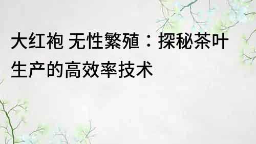 大紅袍 無性繁殖：探秘茶葉生產(chǎn)的高效率技術(shù)