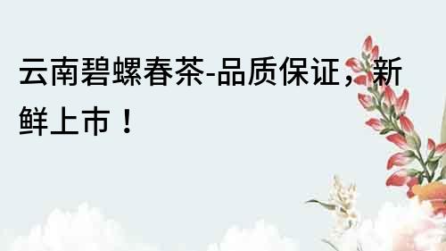云南碧螺春茶-品質保證，新鮮上市！