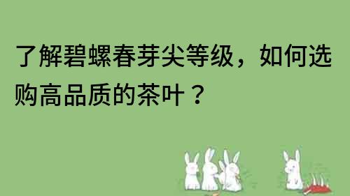 了解碧螺春芽尖等級，如何選購高品質的茶葉？