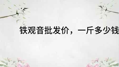 鐵觀音批發(fā)價(jià)，一斤多少錢？