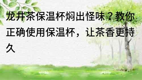 龍井茶保溫杯燜出怪味？教你正確使用保溫杯，讓茶香更持久