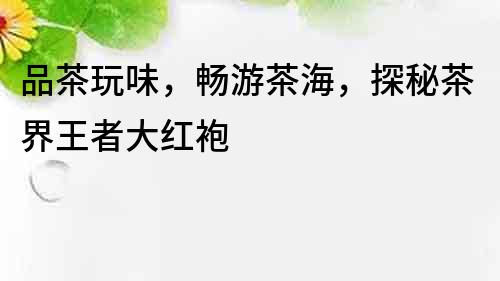 品茶玩味，暢游茶海，探秘茶界王者大紅袍