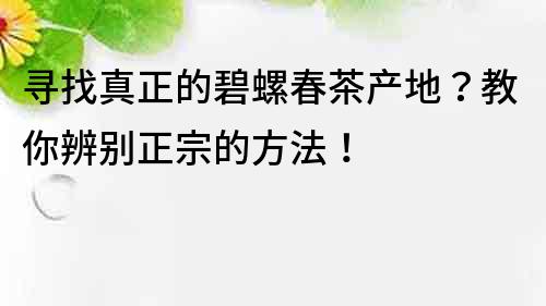 尋找真正的碧螺春茶產地？教你辨別正宗的方法！
