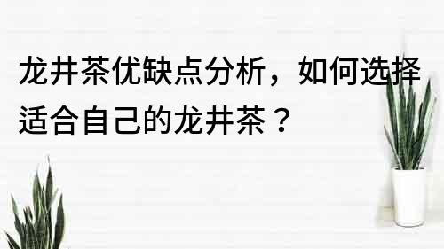 龍井茶優缺點分析，如何選擇適合自己的龍井茶？