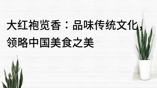 大紅袍覽香：品味傳統文化，領略中國美食之美