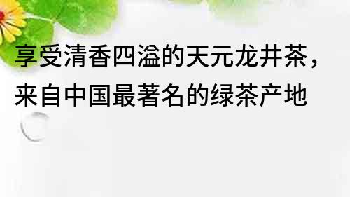 享受清香四溢的天元龍井茶，來自中國最著名的綠茶產(chǎn)地