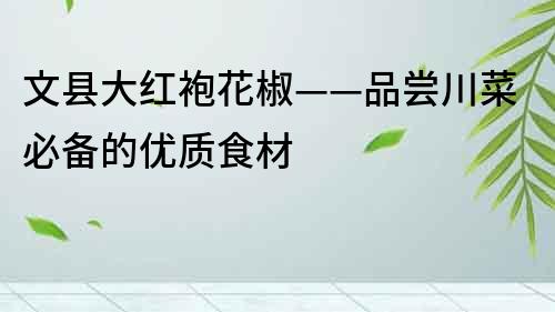 文縣大紅袍花椒——品嘗川菜必備的優(yōu)質食材