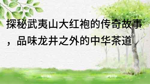 探秘武夷山大紅袍的傳奇故事，品味龍井之外的中華茶道