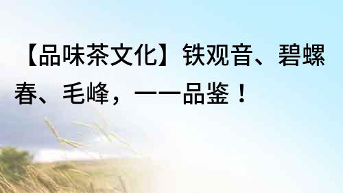 【品味茶文化】鐵觀音、碧螺春、毛峰，一一品鑒！