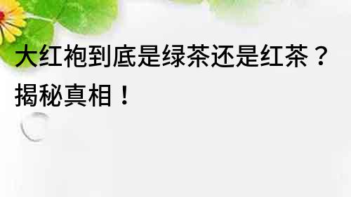 大紅袍到底是綠茶還是紅茶？揭秘真相！