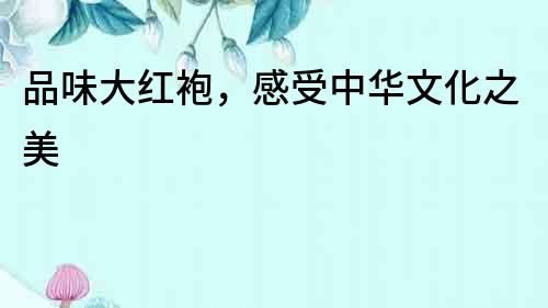品味大紅袍，感受中華文化之美