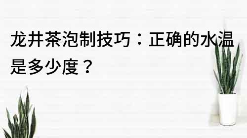 龍井茶泡制技巧：正確的水溫是多少度？