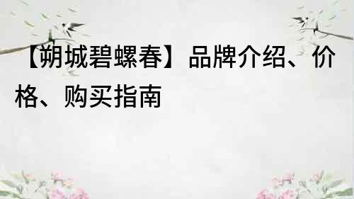 【朔城碧螺春】品牌介紹、價格、購買指南