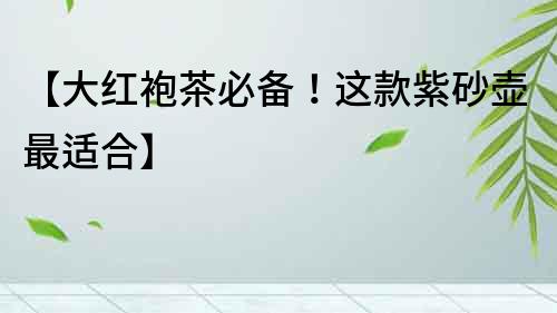 【大紅袍茶必備！這款紫砂壺最適合】