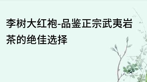 李樹大紅袍-品鑒正宗武夷巖茶的絕佳選擇
