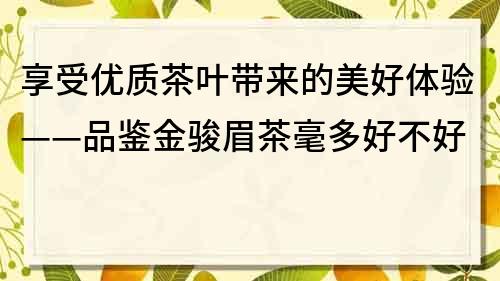 享受優質茶葉帶來的美好體驗——品鑒金駿眉茶毫多好不好