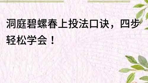 洞庭碧螺春上投法口訣，四步輕松學會！