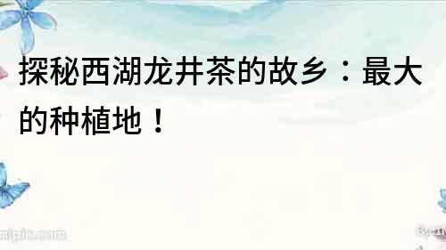 探秘西湖龍井茶的故鄉：最大的種植地！