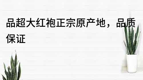品超大紅袍正宗原產(chǎn)地，品質(zhì)保證