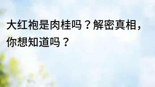 大紅袍是肉桂嗎？解密真相，你想知道嗎？