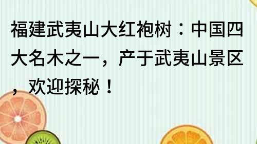 福建武夷山大紅袍樹：中國四大名木之一，產于武夷山景區，歡迎探秘！