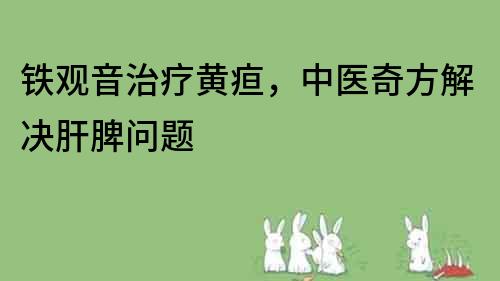 鐵觀音治療黃疸，中醫(yī)奇方解決肝脾問題