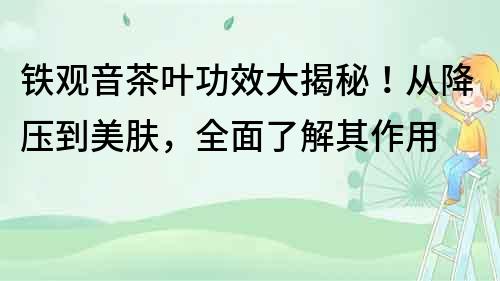 鐵觀音茶葉功效大揭秘！從降壓到美膚，全面了解其作用