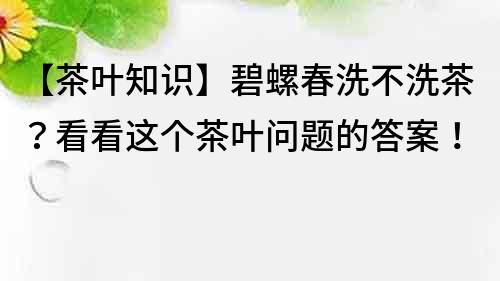 【茶葉知識(shí)】碧螺春洗不洗茶？看看這個(gè)茶葉問題的答案！