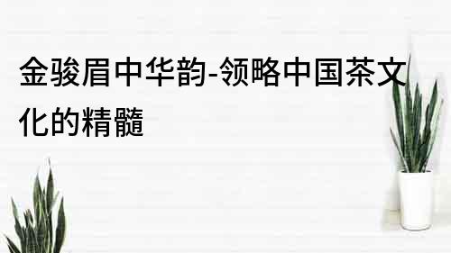 金駿眉中華韻-領略中國茶文化的精髓