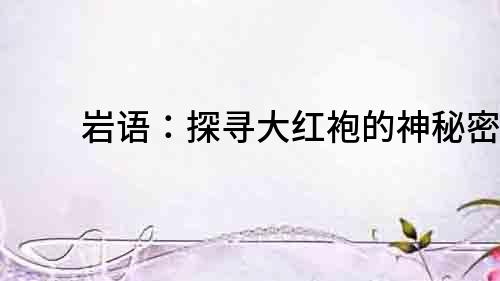 巖語：探尋大紅袍的神秘密碼
