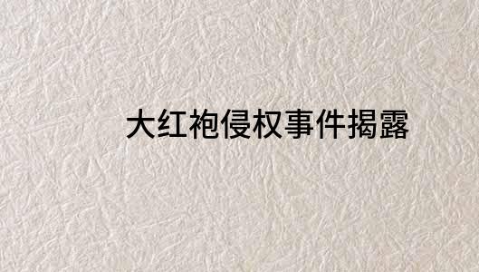 大紅袍侵權事件揭露
