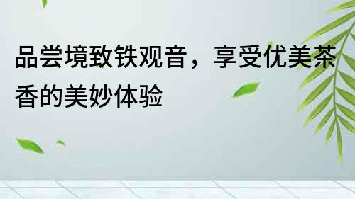 品嘗境致鐵觀音，享受優美茶香的美妙體驗