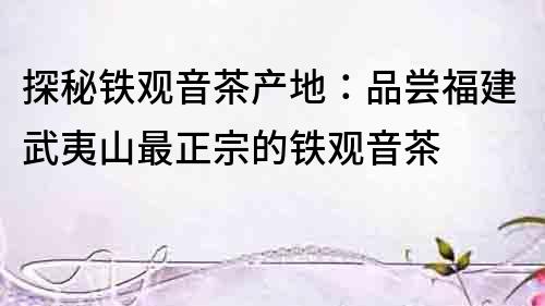 探秘鐵觀音茶產地：品嘗福建武夷山最正宗的鐵觀音茶