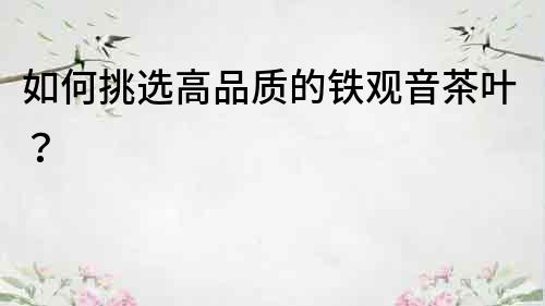 如何挑選高品質(zhì)的鐵觀音茶葉？